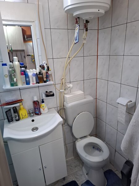 Vitan, Fizicienilor